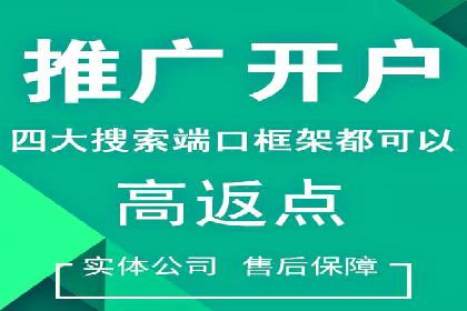 成功案例揭秘：sem账户托管的转化率奇迹